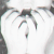 :iconchesterowa: