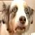 :iconchetcho: