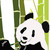 :iconcheungart: