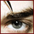 :iconchevalier-stock: