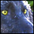 :iconchevax: