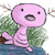 :iconchewy-polar: