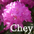 :iconcheycheypink: