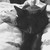 :iconcheyenne-anastasia: