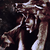 :iconcheyennesis: