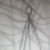 :iconcheyennethewcat: