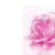 :iconCheyLovesU: