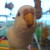 :iconchez77: