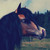 :iconchg212: