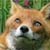 :iconchiaki-komatsu:
