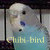 :iconchibi-bird: