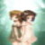 :iconchibi-chanxiomara: