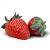 :iconchibi-strawberries: