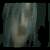 :iconchibibumblebee: