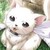 :iconchibicat1771: