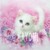 :iconchibichanalex: