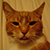 :iconchibihead: