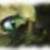 :iconchibikitty9000: