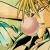 :iconchibimanager: