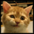 :iconchibineko666: