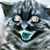 :iconchibisue: