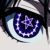 :iconchibiwolf24: