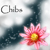 :iconchibs28101986: