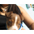 chica-dificil :iconchica-dificil: