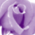 :iconchicaguapa: