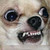:iconchichocab93:
