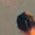 :iconchickarees: