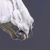 :iconchicochen: