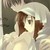 :iconchidori214: