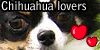 Stamps! :D Chihuahua-lovers