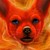 ChihuahuasInTheMist :iconchihuahuasinthemist: