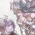 :iconchiiharuka67: