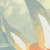 :iconchikco: