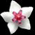 :iconchilch:
