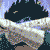 :iconchildoficedemon: