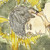 :iconchildrens-eye: