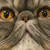 :iconchildxofxfall: