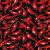 :iconchilli-pepper: