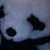 :iconchillingintheshadwos: