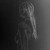 :iconchimamire-no-usagi: