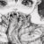 :iconchimokun: