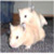 :iconchinabayou:
