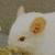 :iconchinchillashapeshftr: