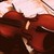 :iconchioj0245: