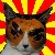 :iconChipnyu: