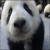 :iconchipsta90: